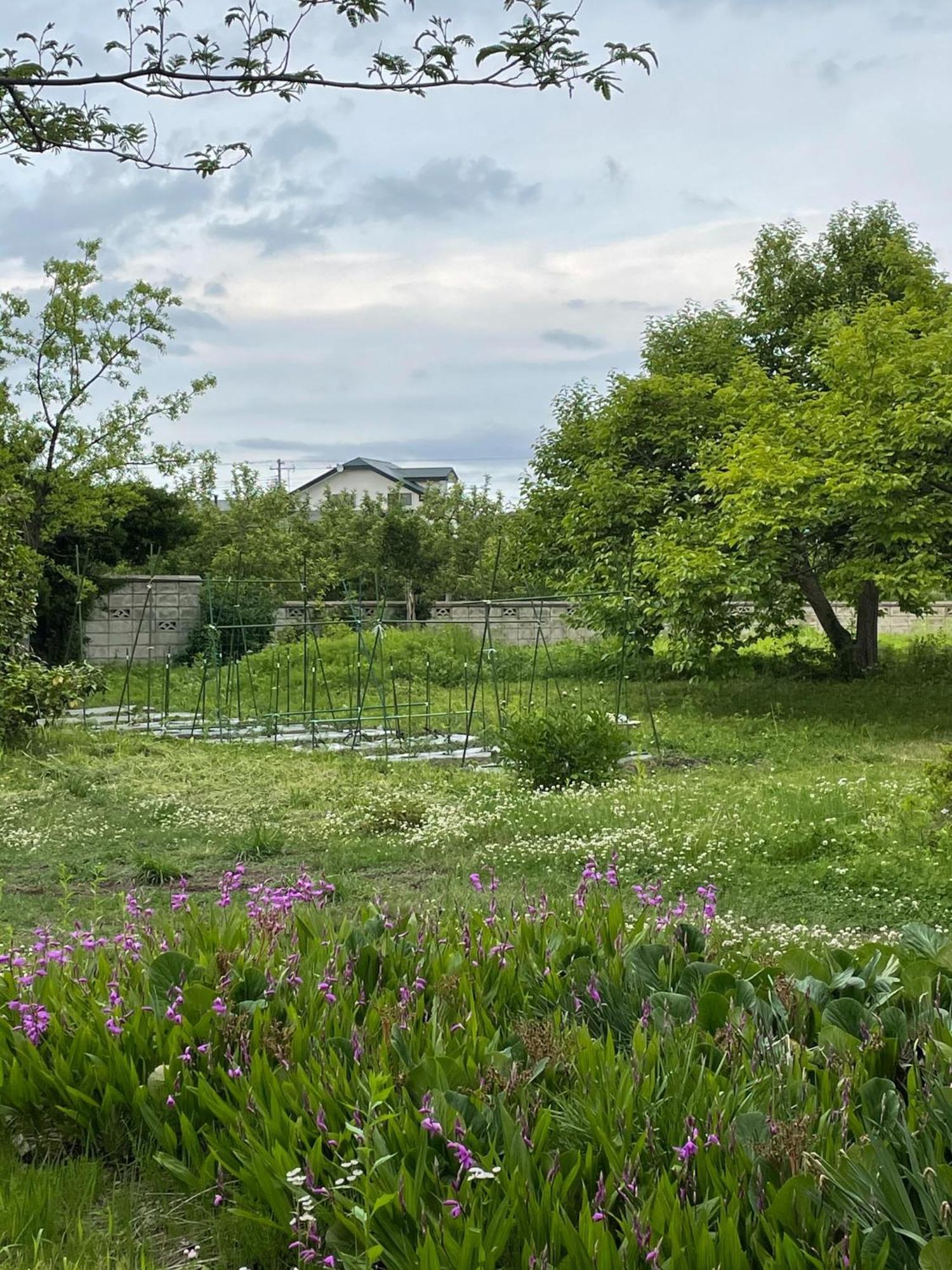 Kuroishi - House - Vacation Stay 87006 Екстериор снимка